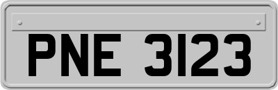 PNE3123