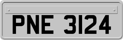 PNE3124