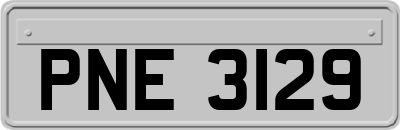 PNE3129