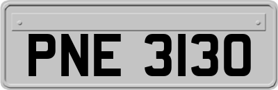 PNE3130