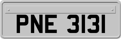 PNE3131
