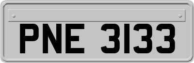 PNE3133