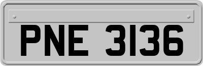 PNE3136