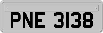 PNE3138