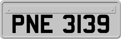 PNE3139
