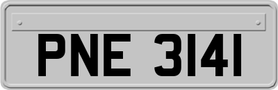 PNE3141