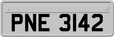 PNE3142