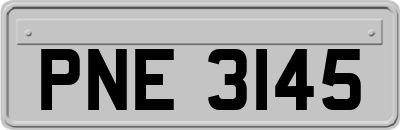 PNE3145
