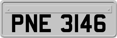 PNE3146