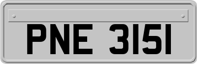 PNE3151