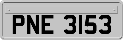 PNE3153