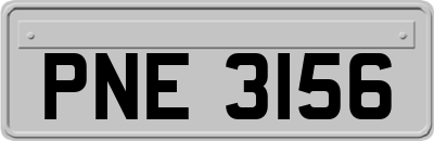 PNE3156