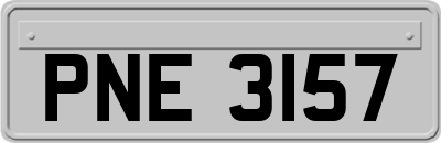 PNE3157