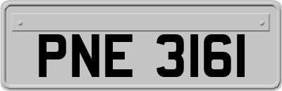 PNE3161