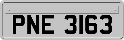 PNE3163