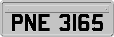 PNE3165