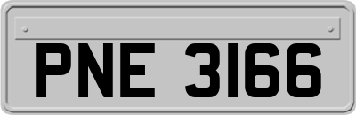 PNE3166