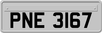 PNE3167