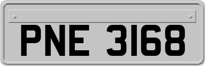 PNE3168