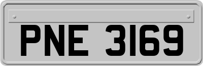 PNE3169