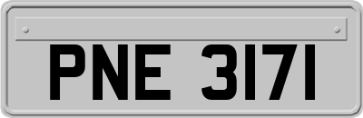 PNE3171