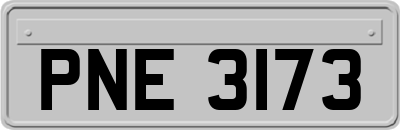 PNE3173