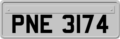 PNE3174