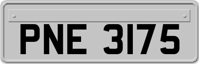 PNE3175