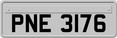 PNE3176