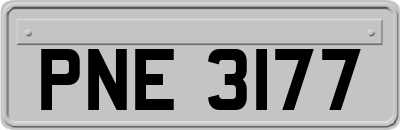 PNE3177