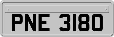 PNE3180
