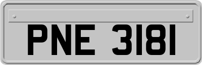 PNE3181