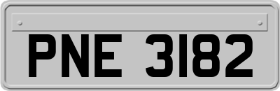 PNE3182