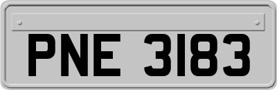 PNE3183