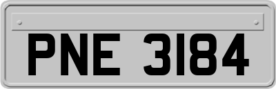 PNE3184