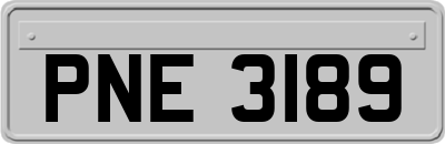 PNE3189