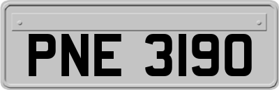 PNE3190