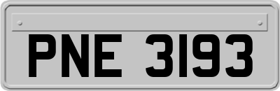 PNE3193