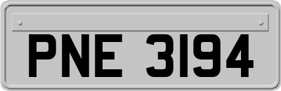 PNE3194