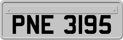 PNE3195