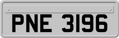 PNE3196