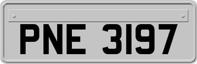 PNE3197