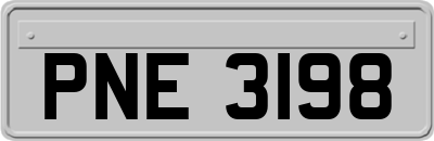PNE3198