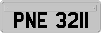 PNE3211