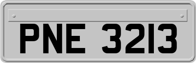 PNE3213