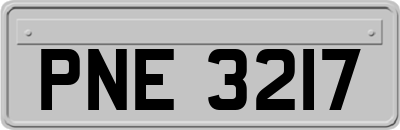 PNE3217