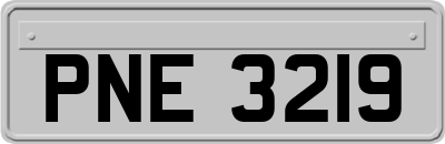 PNE3219