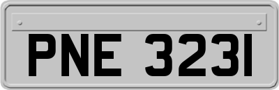 PNE3231
