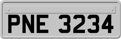 PNE3234