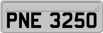 PNE3250